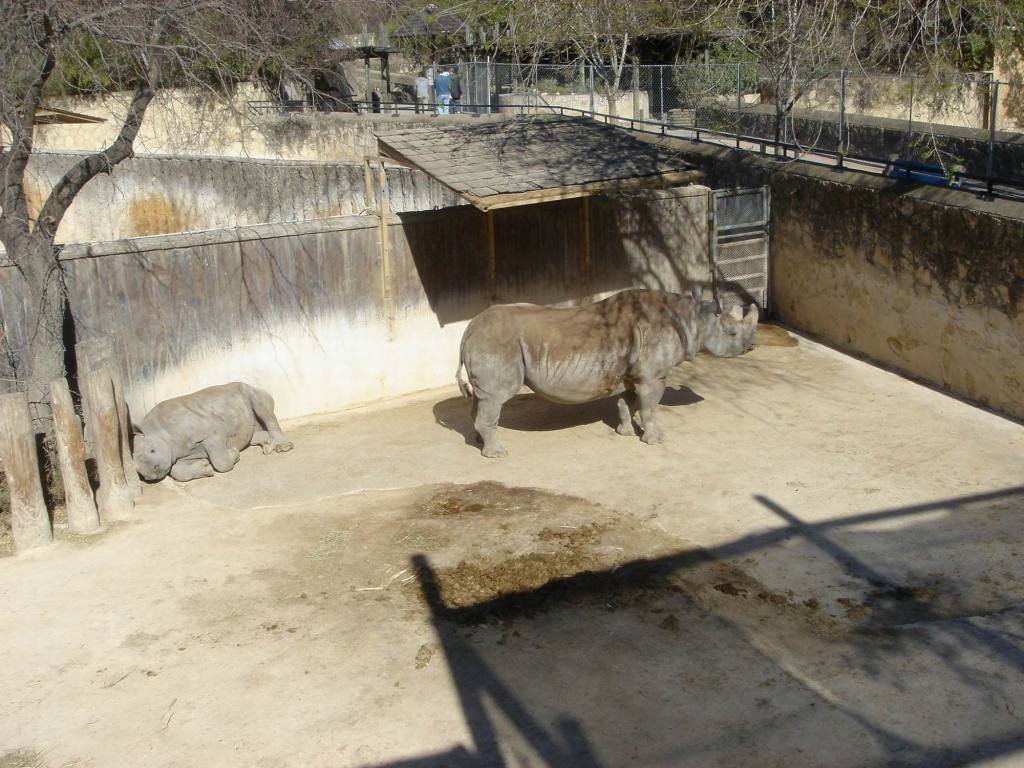 2006-02-11-SanAntonio-Zoo32.JPG