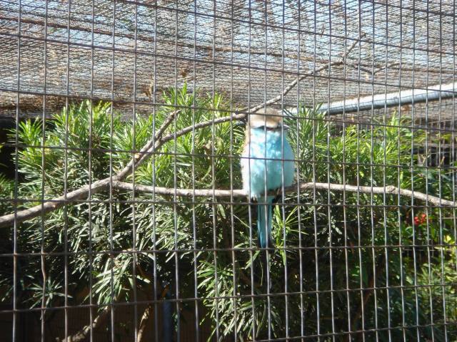 2006-02-11-SanAntonio-Zoo24.JPG