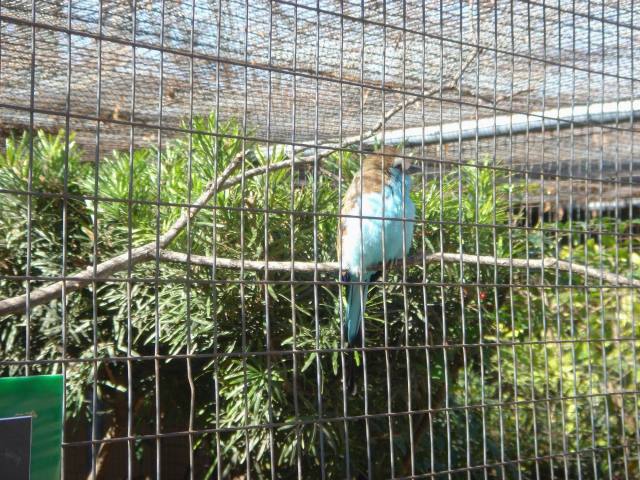 2006-02-11-SanAntonio-Zoo25.JPG