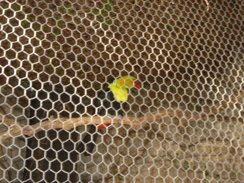 2006-02-11-SanAntonio-Zoo15.JPG