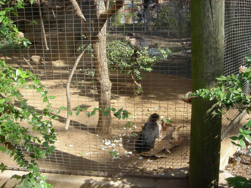 2006-02-11-SanAntonio-Zoo19.JPG