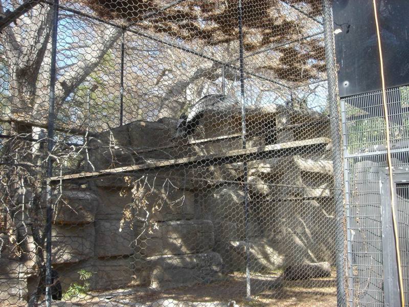 2006-02-11-SanAntonio-Zoo22.JPG