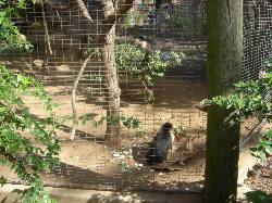 2006-02-11-SanAntonio-Zoo19.JPG