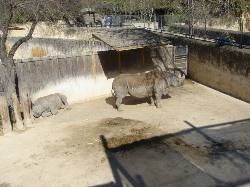 2006-02-11-SanAntonio-Zoo32.JPG
