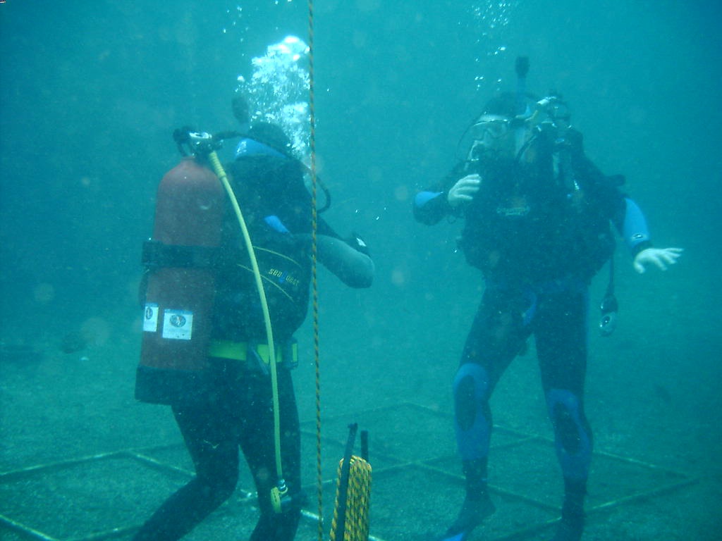 2006/02(Feb)/04(SCUBA-Aquarena-Springs)/1024x768_2006-02-19-06-Janeen-Jim.JPG