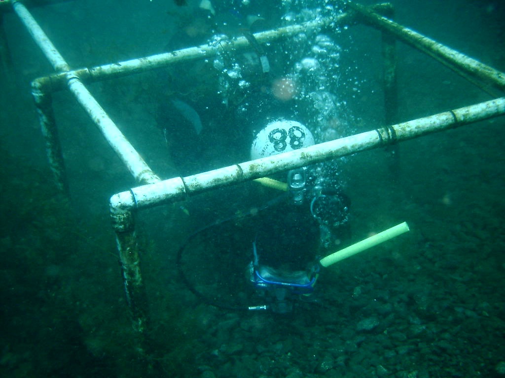 2006/02(Feb)/04(SCUBA-Aquarena-Springs)/1024x768_2006-02-19-23-Michael.JPG