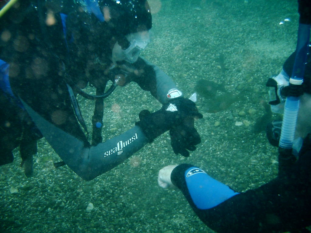 2006/02(Feb)/04(SCUBA-Aquarena-Springs)/1024x768_2006-02-19-43-Janeen-Jim.JPG