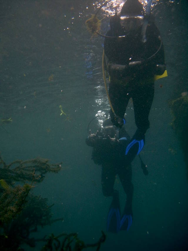 2006/02(Feb)/04(SCUBA-Aquarena-Springs)/640x480_2006-02-19-09-Janeen-Jim.JPG