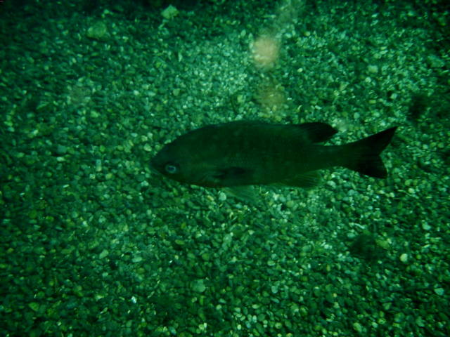 2006-02-19-11-.JPG