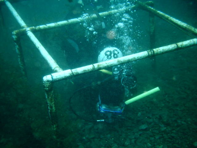 2006/02(Feb)/04(SCUBA-Aquarena-Springs)/640x480_2006-02-19-23-Michael.JPG