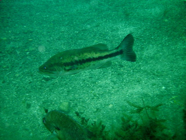 2006-02-19-36-.JPG