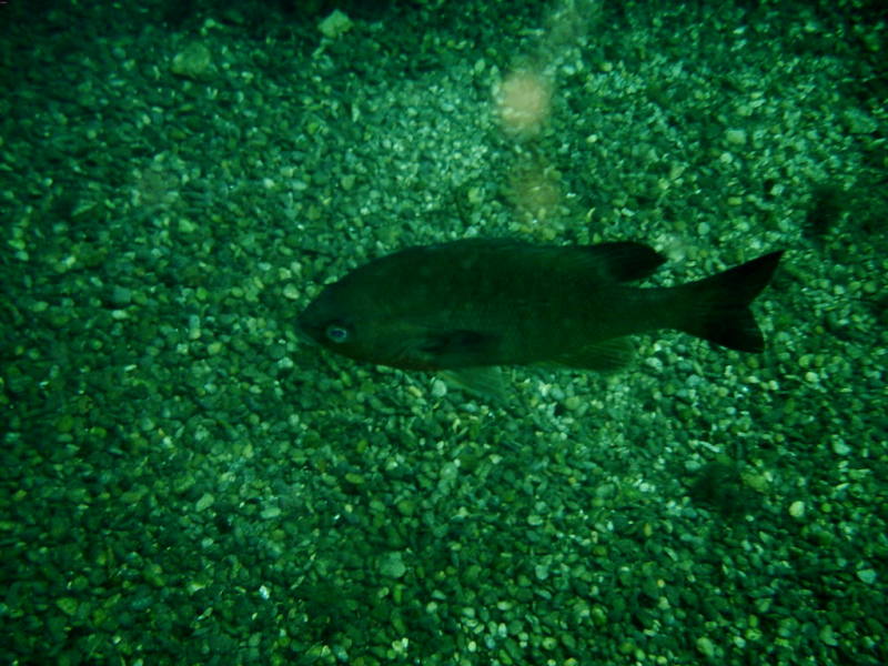 2006-02-19-11-.JPG