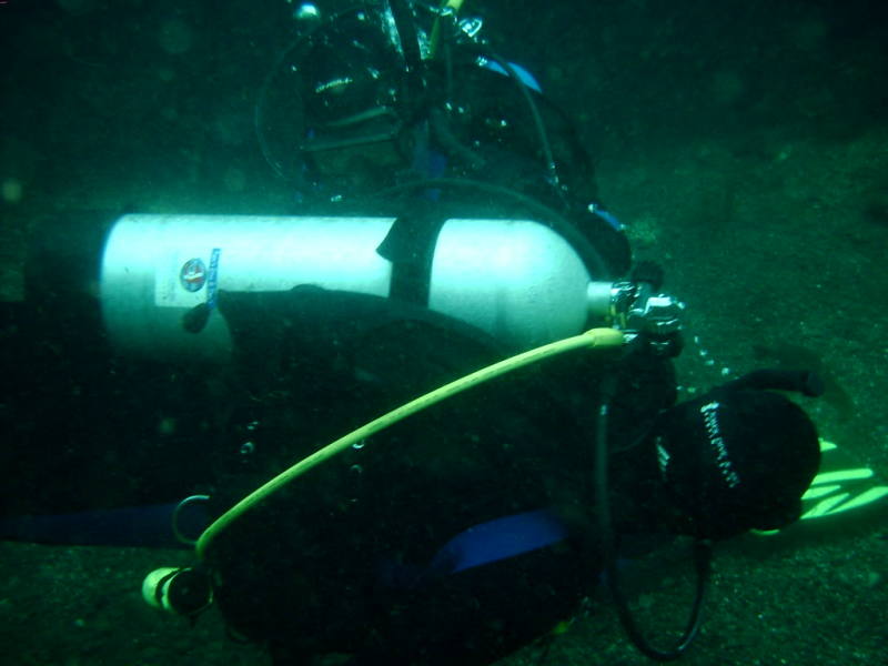 2006/02(Feb)/04(SCUBA-Aquarena-Springs)/800x600_2006-02-19-22-David.JPG