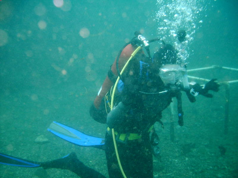 2006/02(Feb)/04(SCUBA-Aquarena-Springs)/800x600_2006-02-19-27-Janeen.JPG