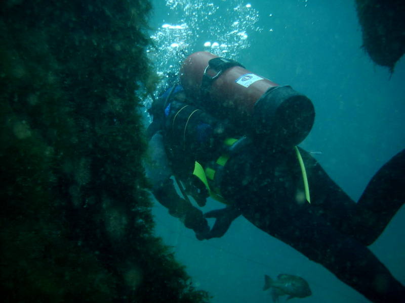 2006/02(Feb)/04(SCUBA-Aquarena-Springs)/800x600_2006-02-19-37-Janeen.JPG