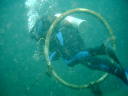 2006-02-19-33-Jim.JPG