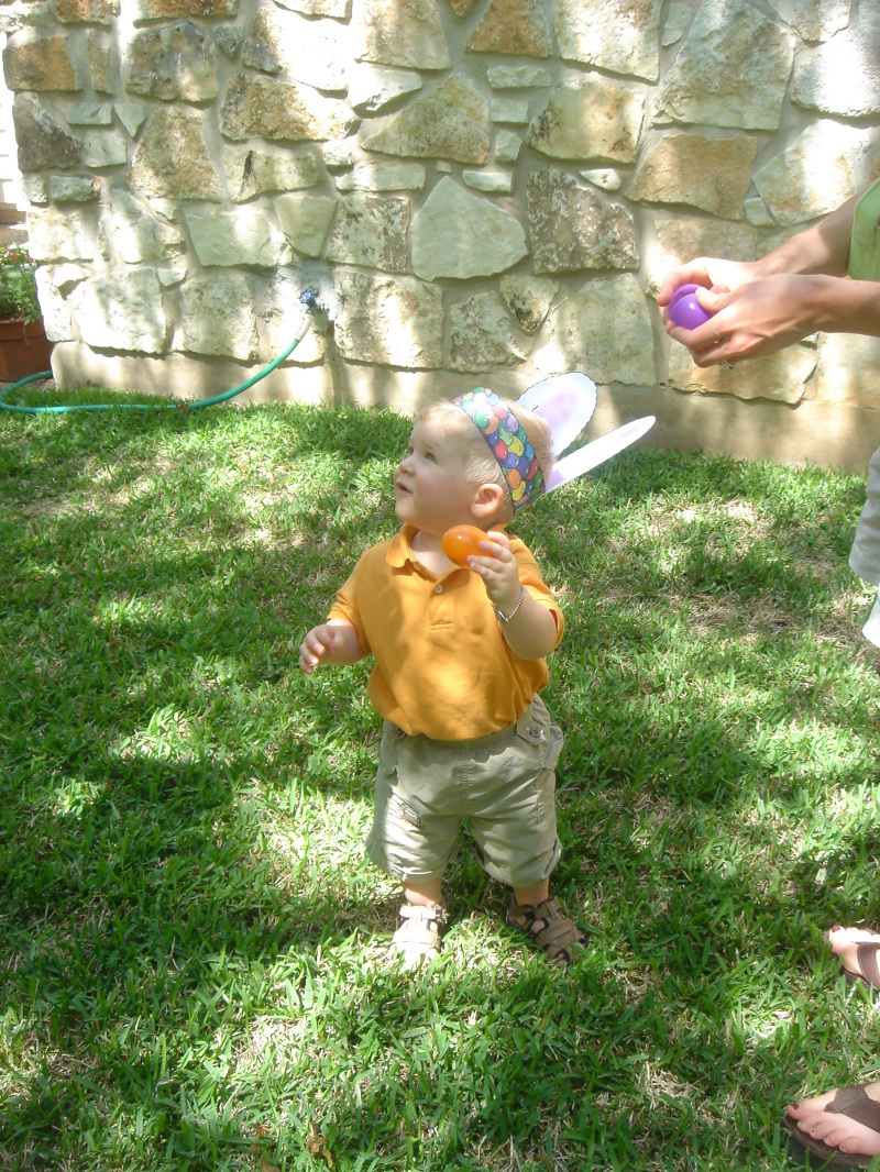 2006/04(Apr)/05(Easter)/800x600_2006-04-16-16-THE-EGG-HUNT.JPG