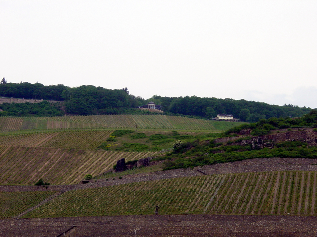 2007/04(April-May-Germany-Italy-Scotland)/06(Rudesheim)/1024x768_2007-05-05-25.JPG