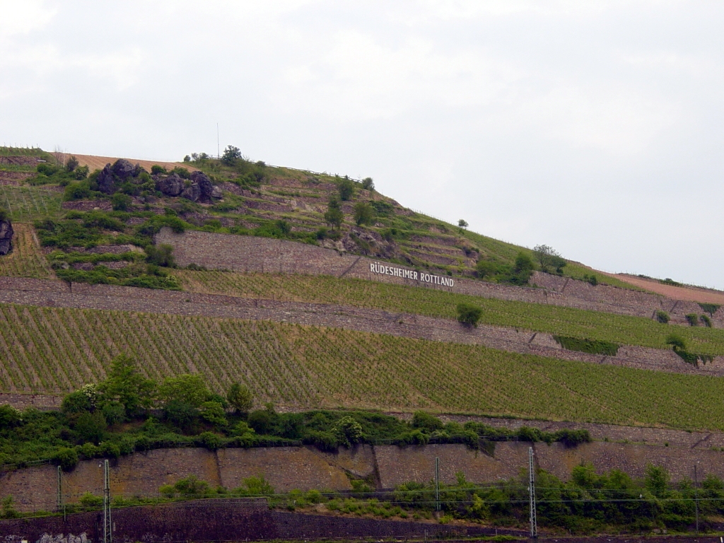 2007/04(April-May-Germany-Italy-Scotland)/06(Rudesheim)/1024x768_2007-05-05-26.JPG