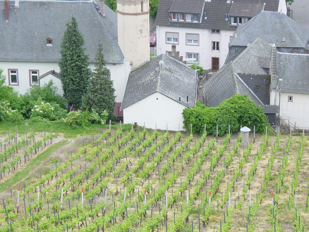 2007/04(April-May-Germany-Italy-Scotland)/06(Rudesheim)/1024x768_2007-05-05-61.JPG