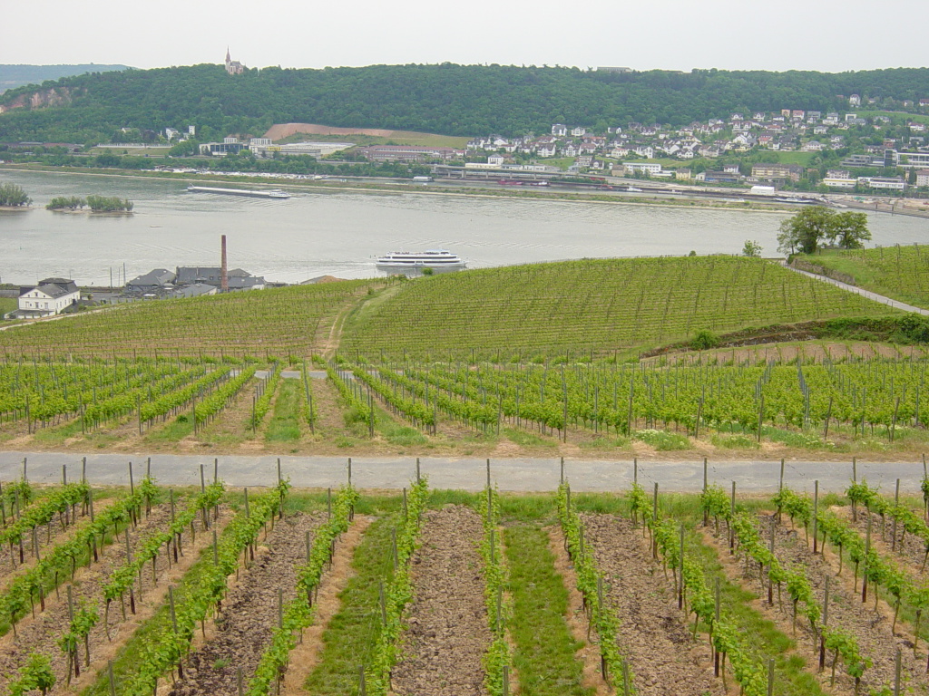 2007/04(April-May-Germany-Italy-Scotland)/06(Rudesheim)/1024x768_2007-05-05-62.JPG