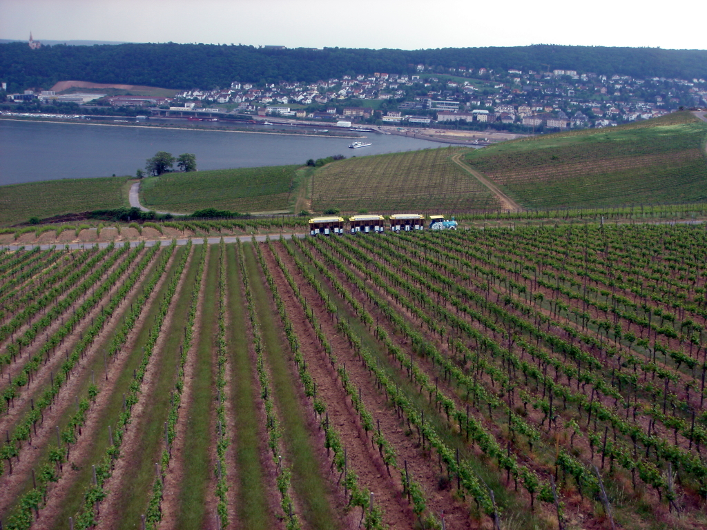 2007/04(April-May-Germany-Italy-Scotland)/06(Rudesheim)/1024x768_2007-05-05-89.JPG