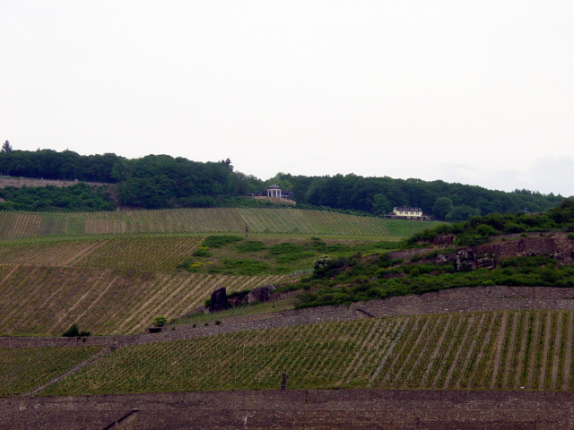 2007/04(April-May-Germany-Italy-Scotland)/06(Rudesheim)/640x480_2007-05-05-25.JPG