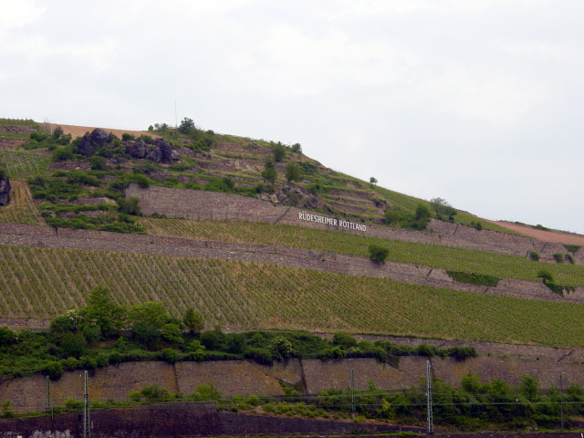 2007/04(April-May-Germany-Italy-Scotland)/06(Rudesheim)/640x480_2007-05-05-26.JPG