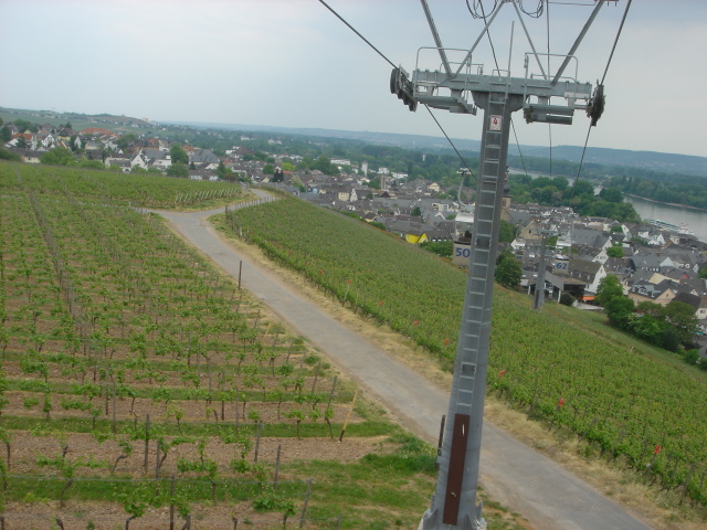 2007/04(April-May-Germany-Italy-Scotland)/06(Rudesheim)/640x480_2007-05-05-57.JPG