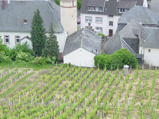 2007/04(April-May-Germany-Italy-Scotland)/06(Rudesheim)/640x480_2007-05-05-61.JPG