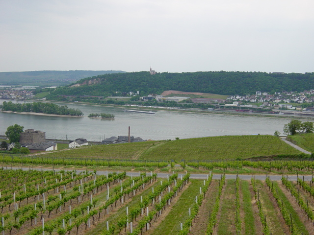 2007/04(April-May-Germany-Italy-Scotland)/06(Rudesheim)/640x480_2007-05-05-63.JPG