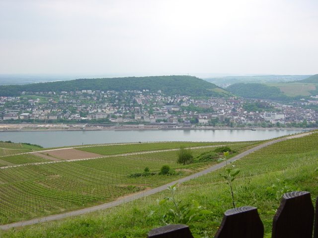 2007/04(April-May-Germany-Italy-Scotland)/06(Rudesheim)/640x480_2007-05-05-73.JPG