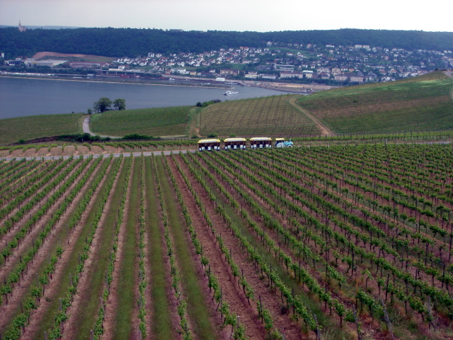 2007/04(April-May-Germany-Italy-Scotland)/06(Rudesheim)/640x480_2007-05-05-89.JPG