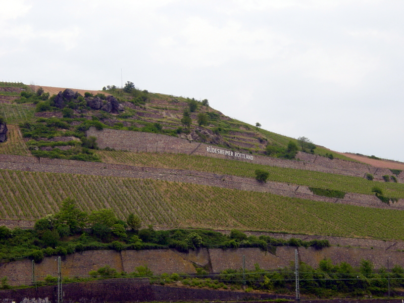 2007/04(April-May-Germany-Italy-Scotland)/06(Rudesheim)/800x600_2007-05-05-26.JPG