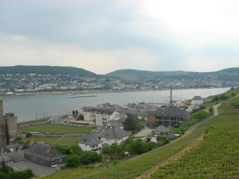 2007/04(April-May-Germany-Italy-Scotland)/06(Rudesheim)/800x600_2007-05-05-55.JPG