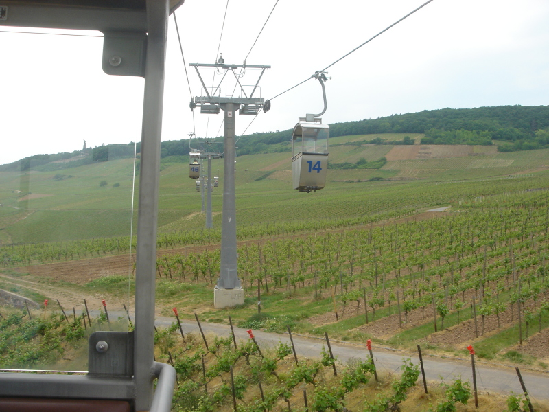 2007/04(April-May-Germany-Italy-Scotland)/06(Rudesheim)/800x600_2007-05-05-56.JPG