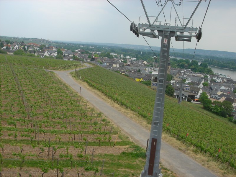 2007/04(April-May-Germany-Italy-Scotland)/06(Rudesheim)/800x600_2007-05-05-57.JPG