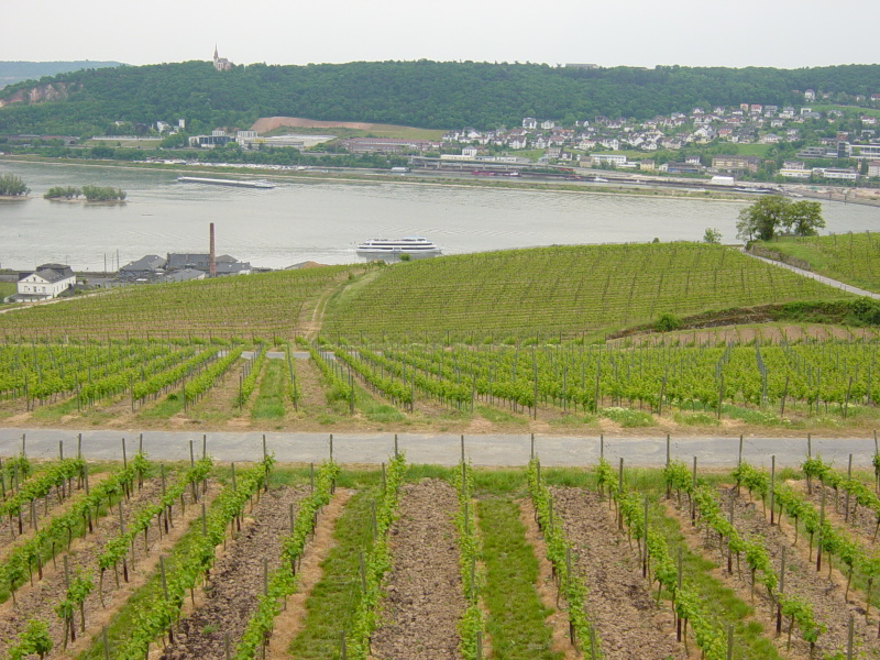 2007/04(April-May-Germany-Italy-Scotland)/06(Rudesheim)/800x600_2007-05-05-62.JPG