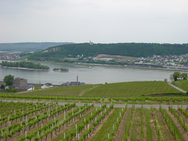 2007/04(April-May-Germany-Italy-Scotland)/06(Rudesheim)/800x600_2007-05-05-63.JPG