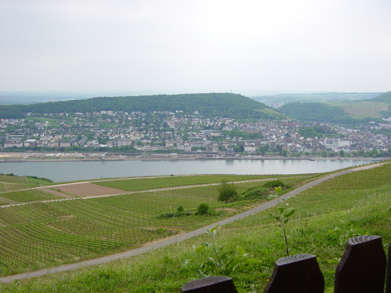 2007/04(April-May-Germany-Italy-Scotland)/06(Rudesheim)/800x600_2007-05-05-73.JPG