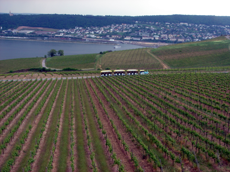 2007/04(April-May-Germany-Italy-Scotland)/06(Rudesheim)/800x600_2007-05-05-89.JPG