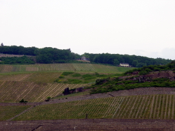 2007-05-05-25.JPG