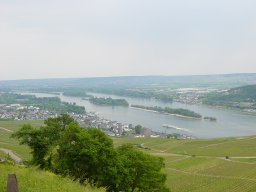 2007-05-05-72.JPG