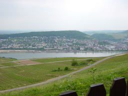 2007-05-05-73.JPG