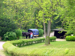 2007-05-05-79.JPG