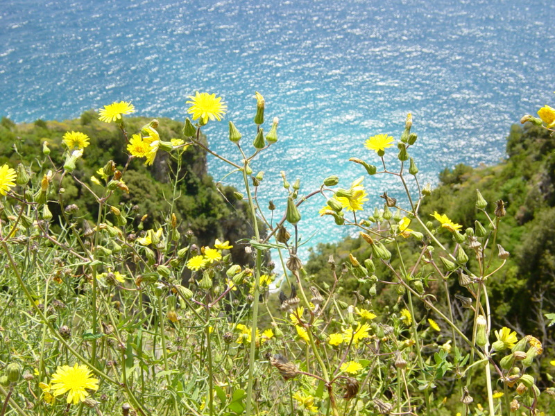 2007/04(April-May-Germany-Italy-Scotland)/07(Italy-Positano-Amalfi-Coast)/800x600_2007-05-01-18-Exploring-1st-day.JPG