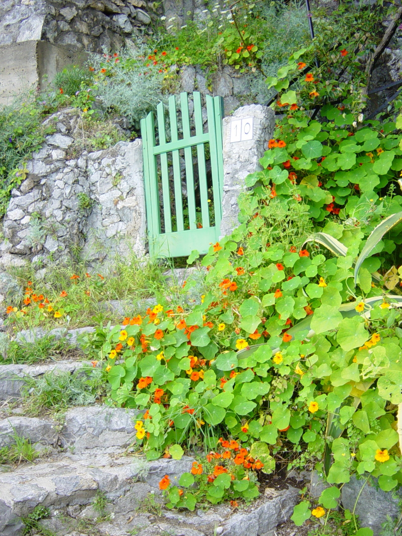 2007/04(April-May-Germany-Italy-Scotland)/07(Italy-Positano-Amalfi-Coast)/800x600_2007-05-01-47-Exploring-1st-day.JPG