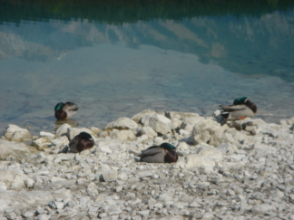 2007-04-29-21.JPG