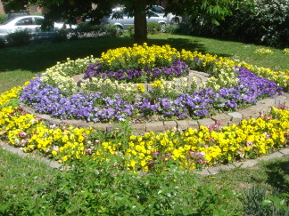 2007-04-26-08-Lunch-near-Marcis-work.JPG