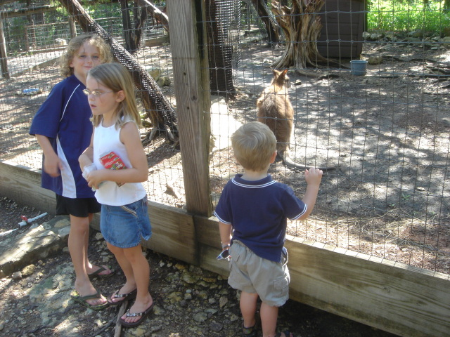 2007-07-07-07-Austin-Zoo.JPG